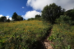 photo thumbnail #5