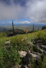 photo thumbnail #12