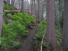 photo thumbnail #3
