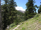 photo thumbnail #10