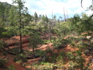 photo thumbnail #2