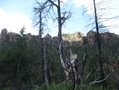 photo thumbnail #5