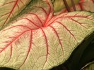 photo thumbnail #13