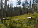 photo thumbnail #1