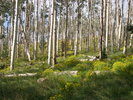 photo thumbnail #7