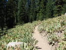 photo thumbnail #8