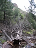 photo thumbnail #10