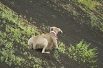 photo thumbnail #11