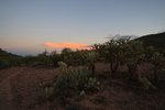 photo thumbnail #7