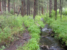 photo thumbnail #1