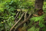 photo thumbnail #3