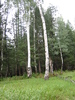 photo thumbnail #8
