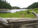photo thumbnail #12