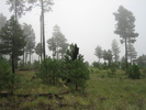 photo thumbnail #15