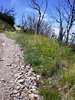 photo thumbnail #15