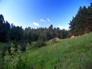 photo thumbnail #7