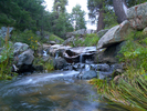 Featured Full Photo