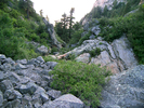 photo thumbnail #10