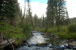 photo thumbnail #7