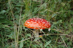 photo thumbnail #10