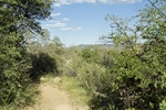 photo thumbnail #10