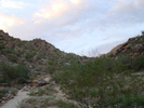 photo thumbnail #1