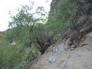 photo thumbnail #5