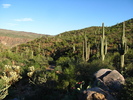 photo thumbnail #2