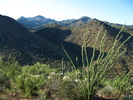 photo thumbnail #3