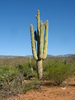 photo thumbnail #7