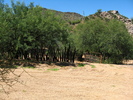 photo thumbnail #11