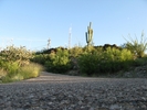 photo thumbnail #1