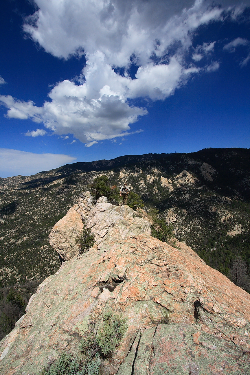 Box Spring Trail 22A, AZ HikeArizona