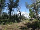 photo thumbnail #3