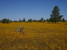photo thumbnail #14