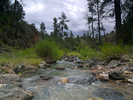 photo thumbnail #4