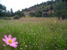 photo thumbnail #13