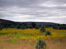 photo thumbnail #14