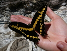 photo thumbnail #9