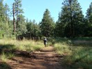photo thumbnail #4