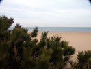 photo thumbnail #13