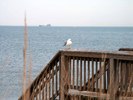 photo thumbnail #14
