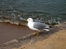photo thumbnail #15