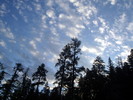 photo thumbnail #11