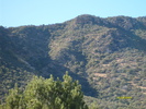 recent photo