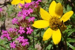 photo thumbnail #6