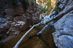 photo thumbnail #8