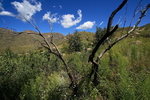 photo thumbnail #12