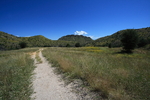 photo thumbnail #14