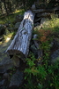 photo thumbnail #2